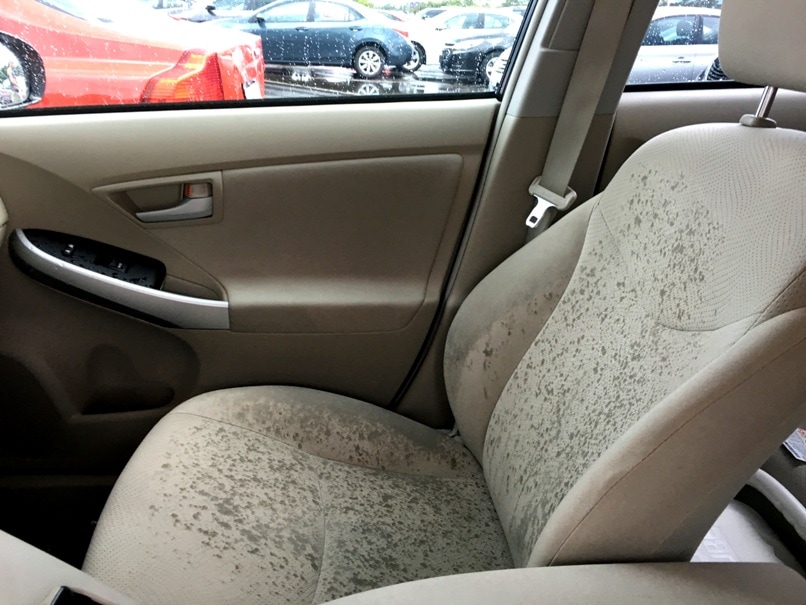 How To Clean Mold In A Car Naturally Get Green Be Well