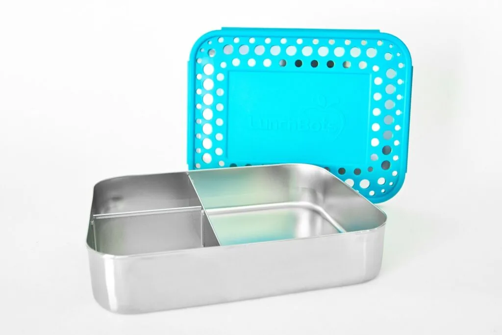Choosing Lunch Containers for School - Stainless Steel vs Plastic