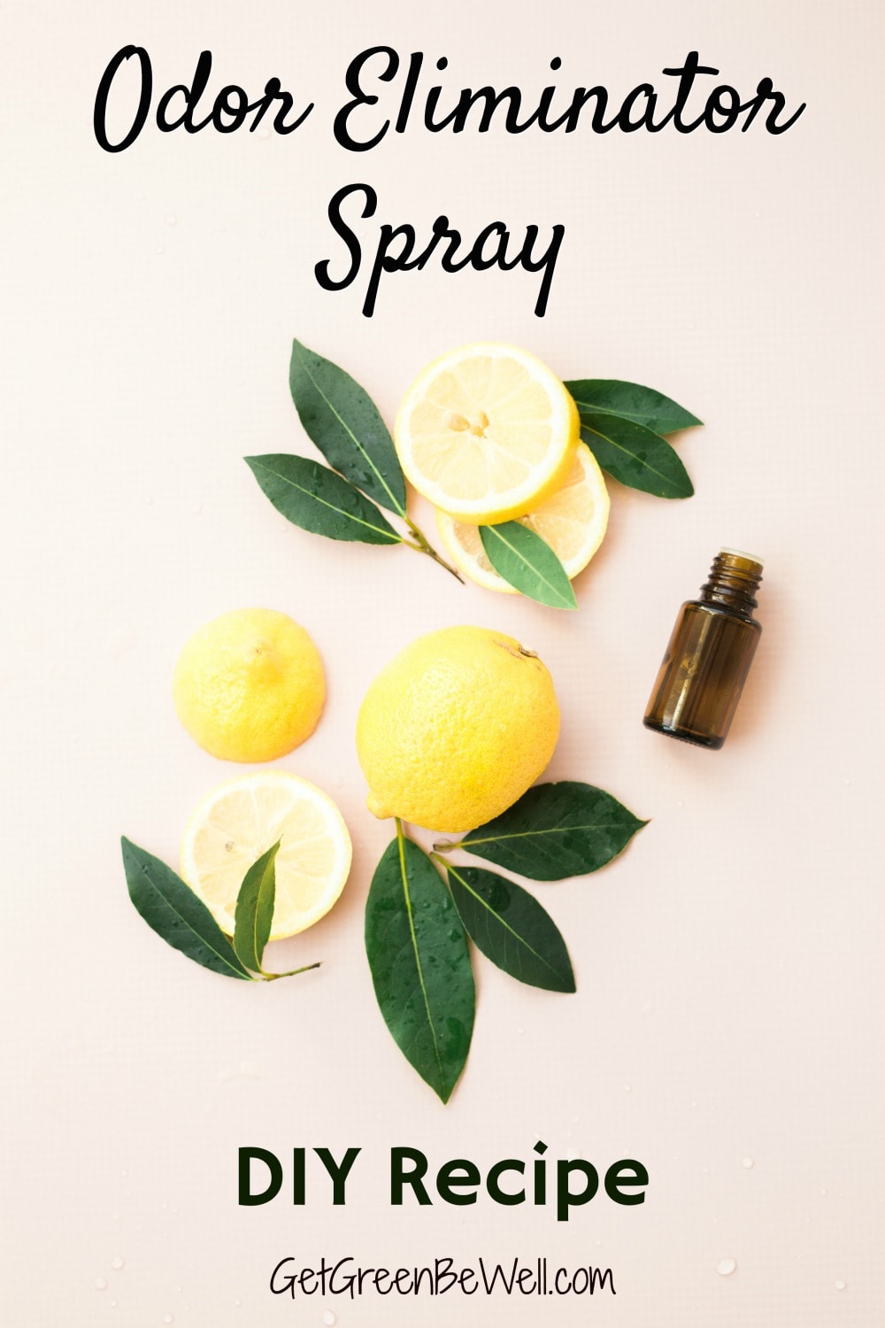 DIY Natural Odor Eliminator Spray Get Green Be Well   Odor Eliminator Spray With Lemons 