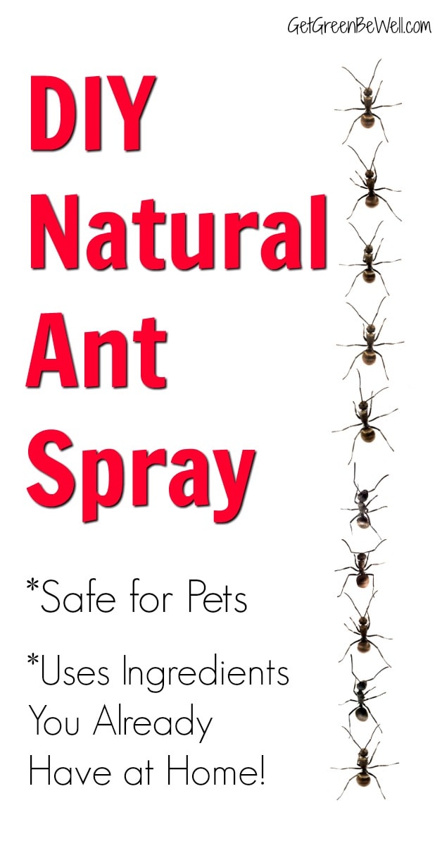 Diy Ant Spray Safe For Pets Get Green Be Well