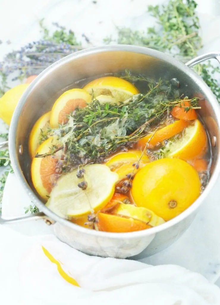 Summer Lemon Simmer Pot Recipe - 2 Bees in a Pod