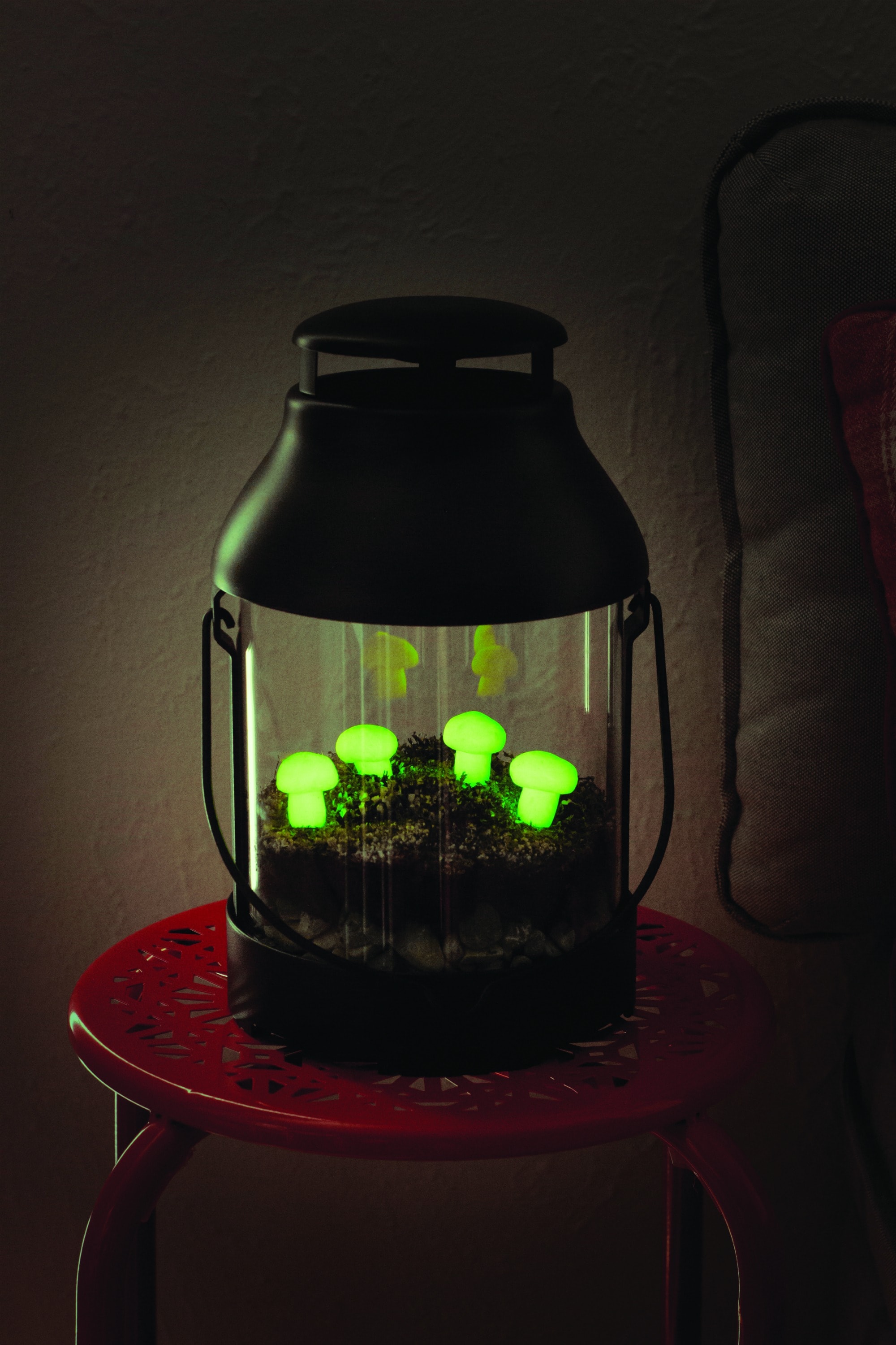 Cute Glow in the Dark Lantern Terrarium - Get Green Be Well