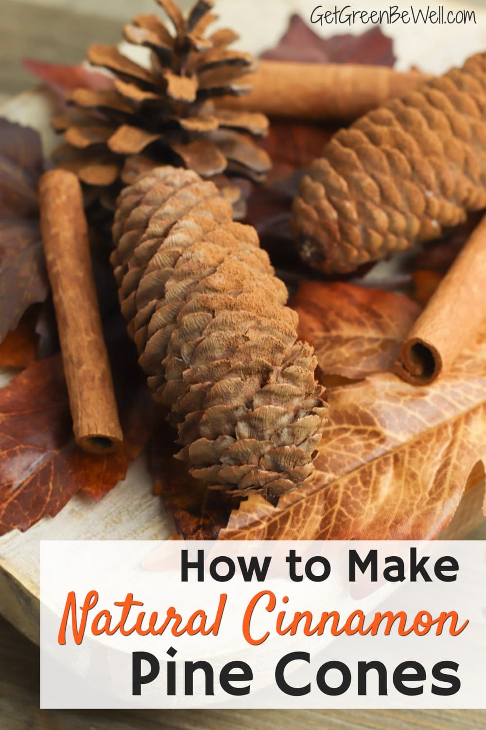 How to Make Cinnamon Pine Cones 2 Ways! Get Green Be Well