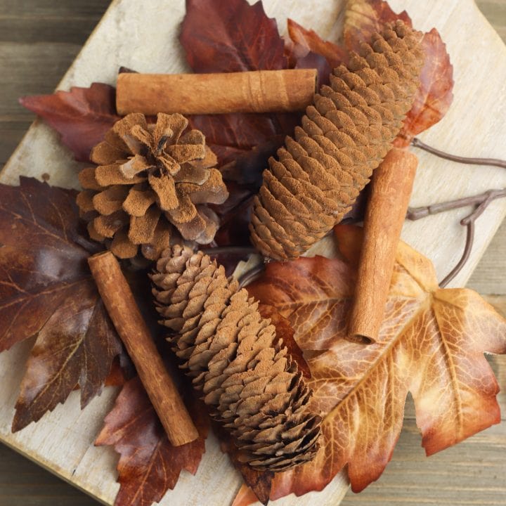 How to Make Cinnamon Pine Cones - 2 Ways! - Get Green Be Well