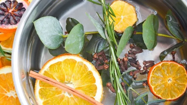 oranges eucalyptus rosemary cloves in pot