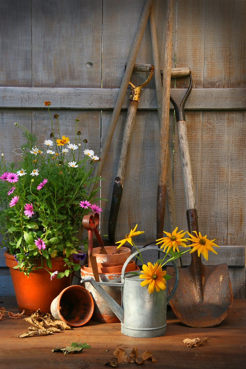 How to Use Coke in the Garden - Get Green Be Well