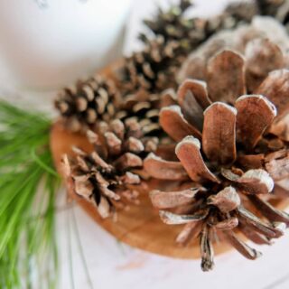 How to Make Cinnamon Pine Cones - 2 Ways! - Get Green Be Well