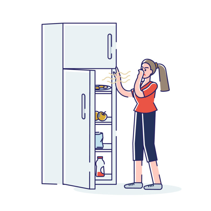 How to Get Rid of Odor in a Refrigerator - Get Green Be Well