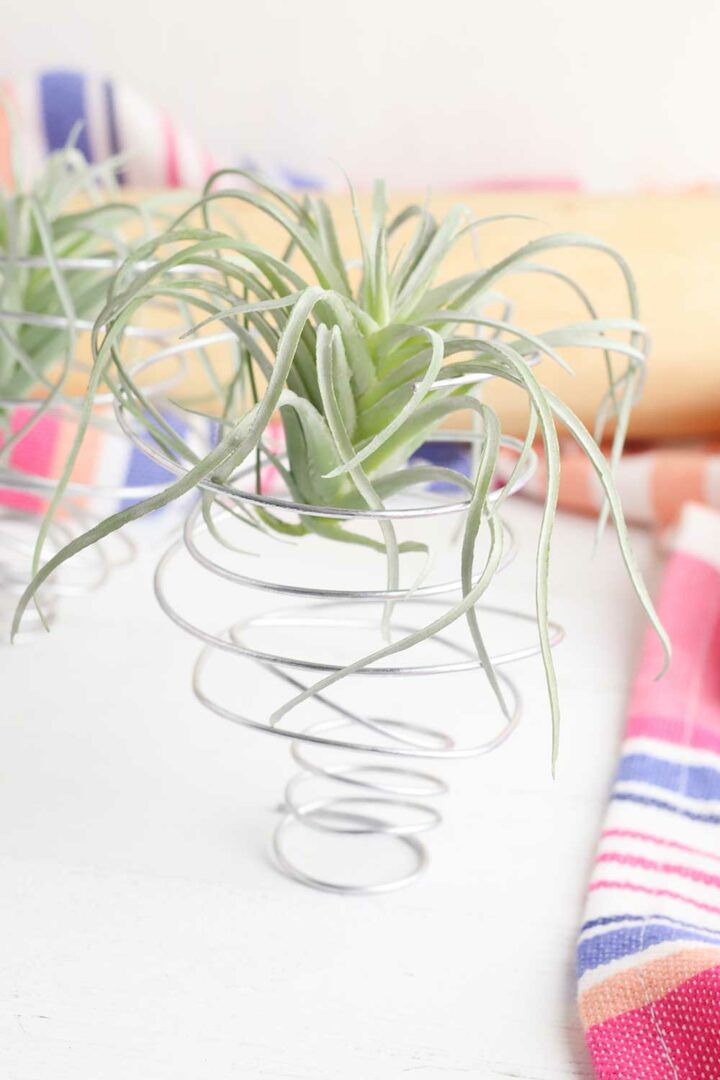 How To Make An Air Plant Holder Easy DIY Get Green Be Well