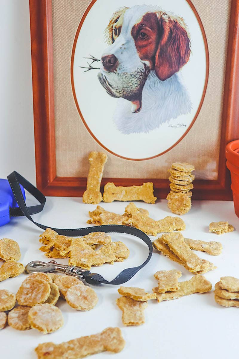 Easy Dehydrator Dog Treats Recipe - Get Green Be Well