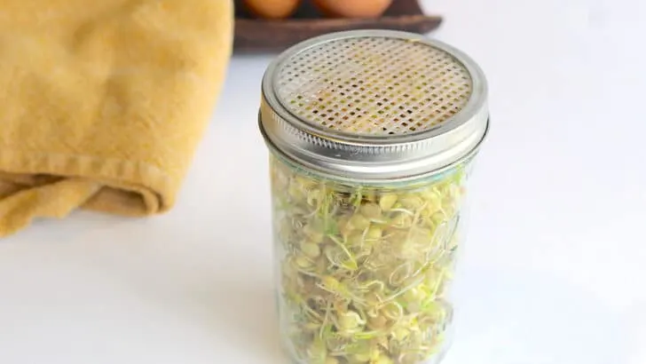 Sprout Lentils in a mason jar on a counter next to eggs.