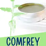 Comfrey ointment recipe.