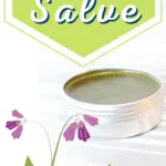 Diy comfrey salve.