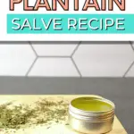 Easy plantain salve recipe.