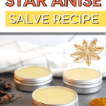 Easy star anise salve recipe.