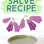 Homemade comerry salve recipe.