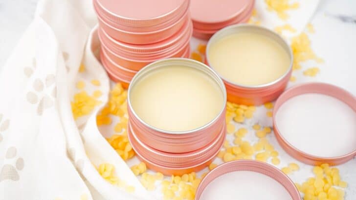 Dog Paw Balm Recipe in colorful tin cups on a white background